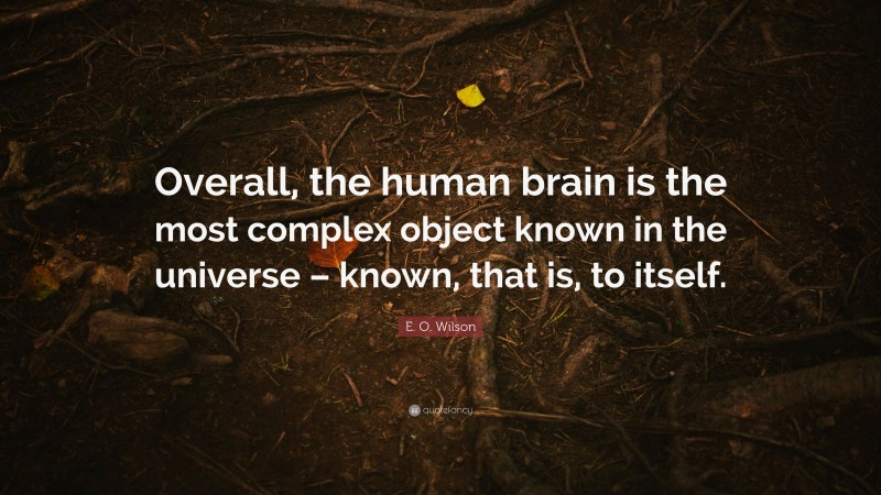 E. O. Wilson Quote: “Overall, the human brain is the most complex object known in the universe – known, that is, to itself.”
