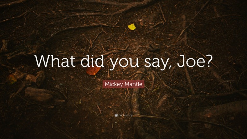 Mickey Mantle Quote: “What did you say, Joe?”