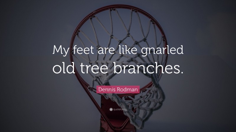 Dennis Rodman Quote: “My feet are like gnarled old tree branches.”