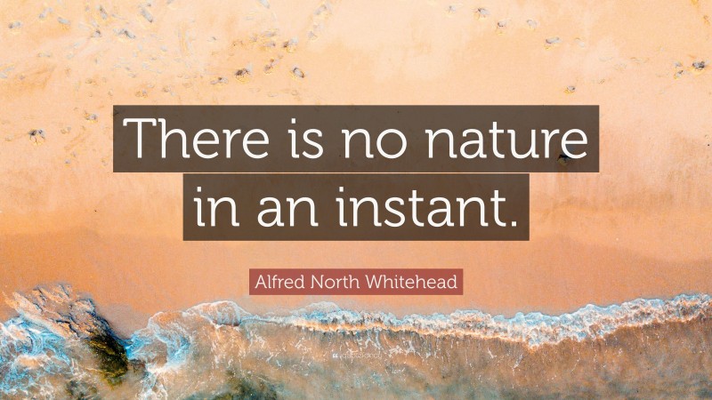 Alfred North Whitehead Quote: “There is no nature in an instant.”