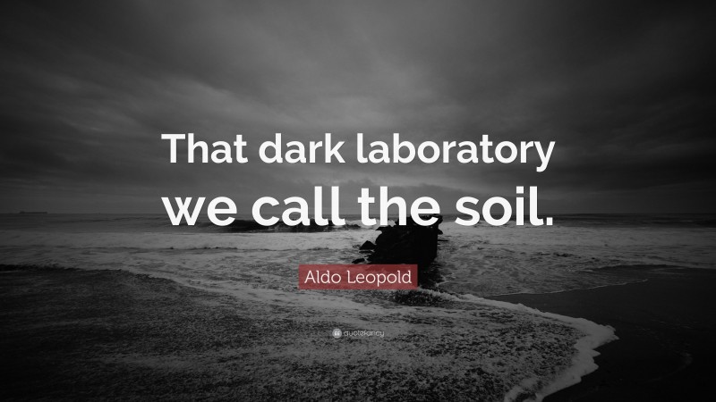 Aldo Leopold Quote: “That dark laboratory we call the soil.”