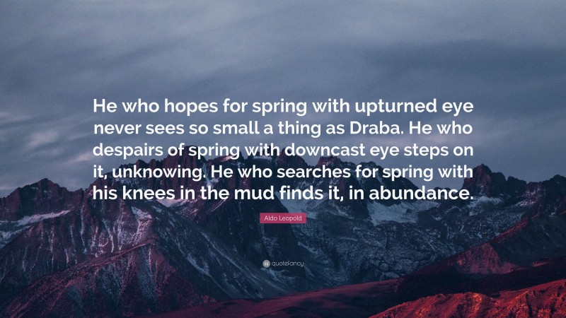Aldo Leopold Quote: “He who hopes for spring with upturned eye never sees so small a thing as Draba. He who despairs of spring with downcast eye steps on it, unknowing. He who searches for spring with his knees in the mud finds it, in abundance.”