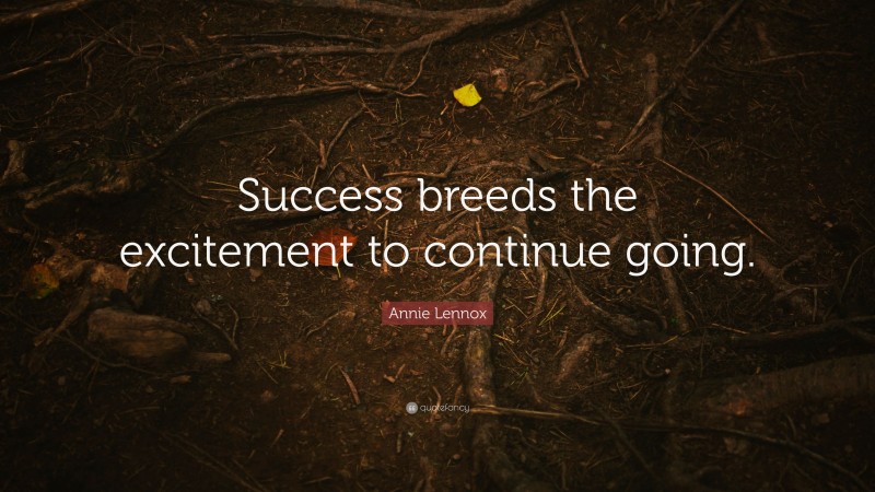 Annie Lennox Quote: “Success breeds the excitement to continue going.”