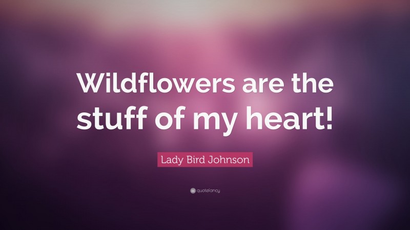 Lady Bird Johnson Quote: “Wildflowers are the stuff of my heart!”