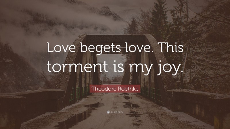 Theodore Roethke Quote: “Love begets love. This torment is my joy.”