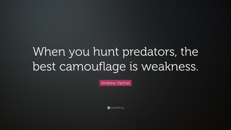 Andrew Vachss Quote: “When you hunt predators, the best camouflage is weakness.”