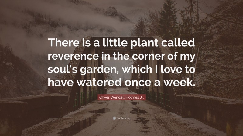 Oliver Wendell Holmes Jr. Quote: “There is a little plant called reverence in the corner of my soul’s garden, which I love to have watered once a week.”