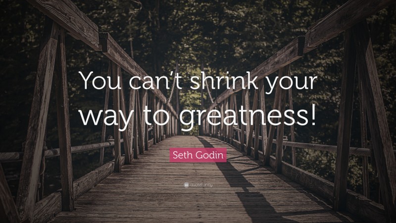 Seth Godin Quote: “You can’t shrink your way to greatness!”