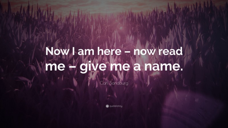 Carl Sandburg Quote: “Now I am here – now read me – give me a name.”