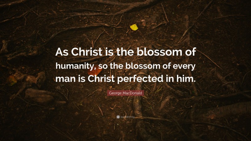 George MacDonald Quote: “As Christ is the blossom of humanity, so the blossom of every man is Christ perfected in him.”