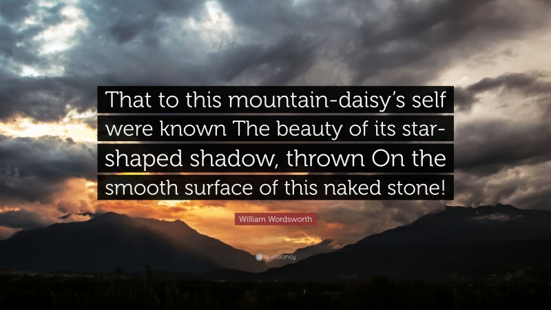 William Wordsworth Quote: “That to this mountain-daisy’s self were known The beauty of its star-shaped shadow, thrown On the smooth surface of this naked stone!”