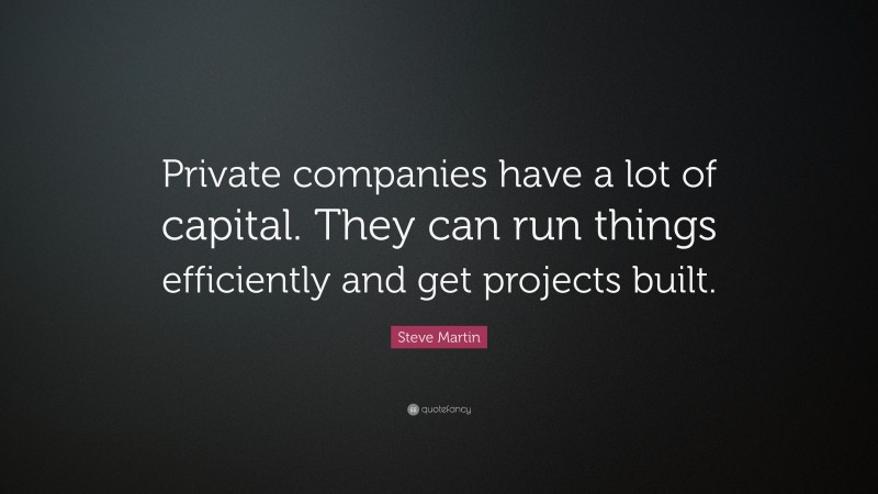 Steve Martin Quote: “Private companies have a lot of capital. They can run things efficiently and get projects built.”