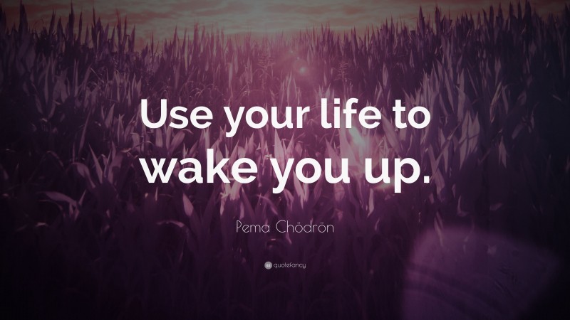 Pema Chödrön Quote: “Use your life to wake you up.”