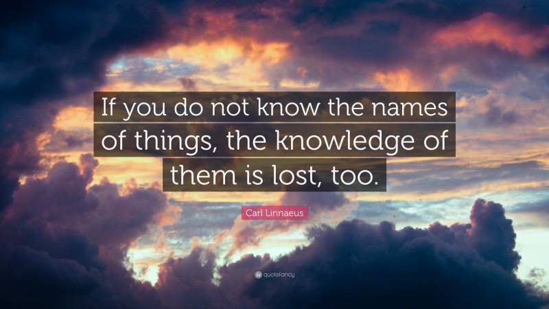 Carl Linnaeus Quote: “If you do not know the names of things, the knowledge of them is lost, too.”