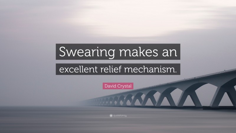 David Crystal Quote: “Swearing makes an excellent relief mechanism.”