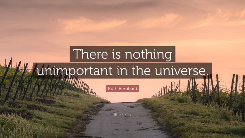 Ruth Bernhard Quote: “There is nothing unimportant in the universe.”