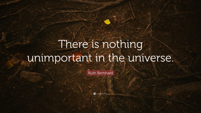 Ruth Bernhard Quote: “There is nothing unimportant in the universe.”