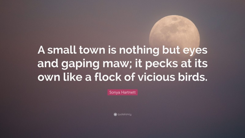 Sonya Hartnett Quote: “A small town is nothing but eyes and gaping maw; it pecks at its own like a flock of vicious birds.”