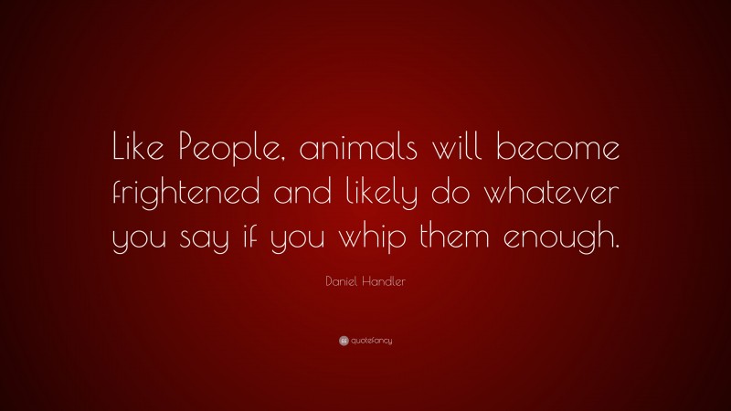 Daniel Handler Quote: “Like People, animals will become frightened and likely do whatever you say if you whip them enough.”