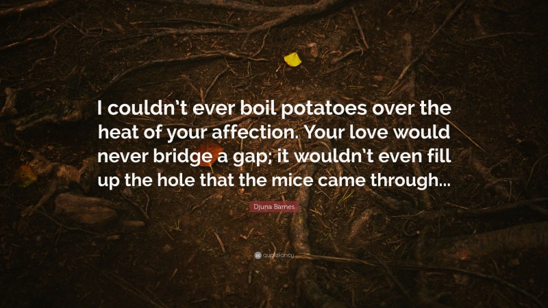 Djuna Barnes Quote: “I couldn’t ever boil potatoes over the heat of your affection. Your love would never bridge a gap; it wouldn’t even fill up the hole that the mice came through...”