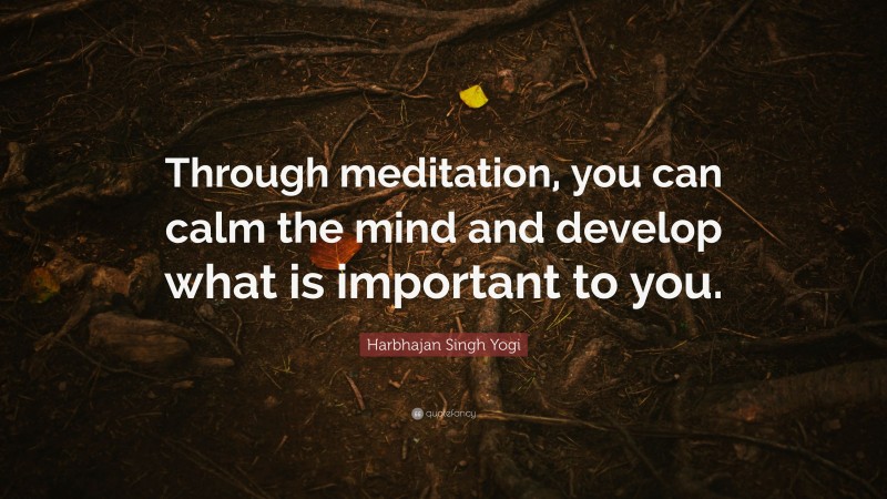 Harbhajan Singh Yogi Quote: “Through meditation, you can calm the mind and develop what is important to you.”