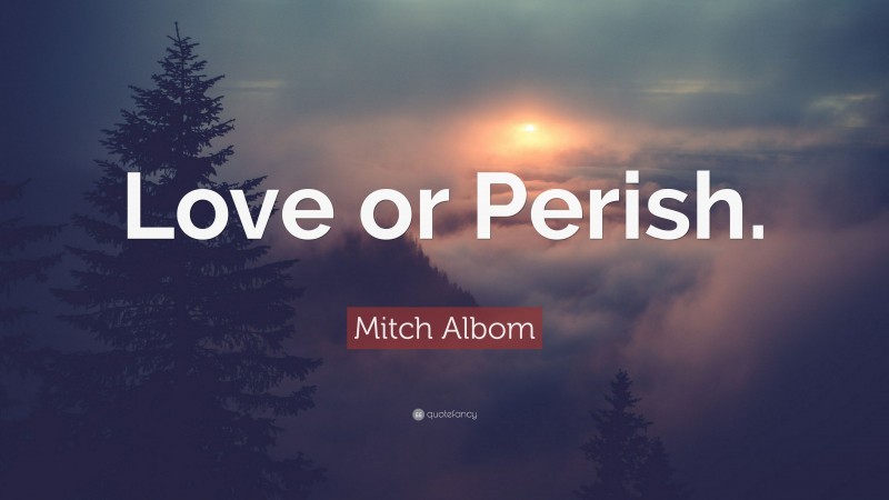 Mitch Albom Quote: “Love or Perish.”