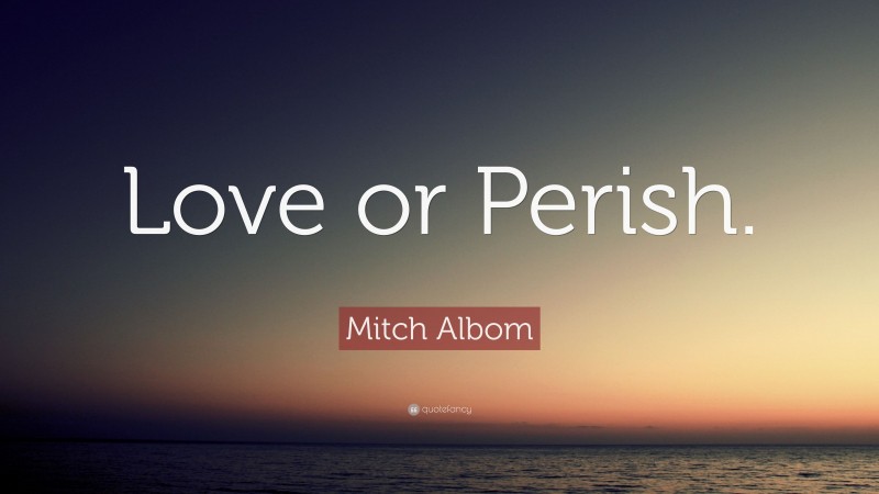 Mitch Albom Quote: “Love or Perish.”