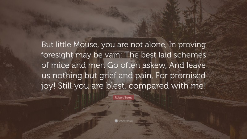 Robert Burns Quote: “But little Mouse, you are not alone, In proving foresight may be vain: The best laid schemes of mice and men Go often askew, And leave us nothing but grief and pain, For promised joy! Still you are blest, compared with me!”