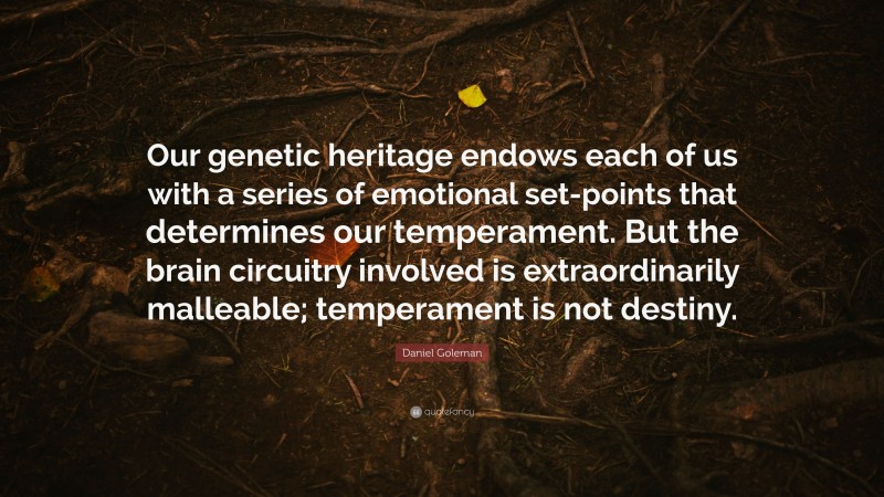 Daniel Goleman Quote: “Our genetic heritage endows each of us with a series of emotional set-points that determines our temperament. But the brain circuitry involved is extraordinarily malleable; temperament is not destiny.”