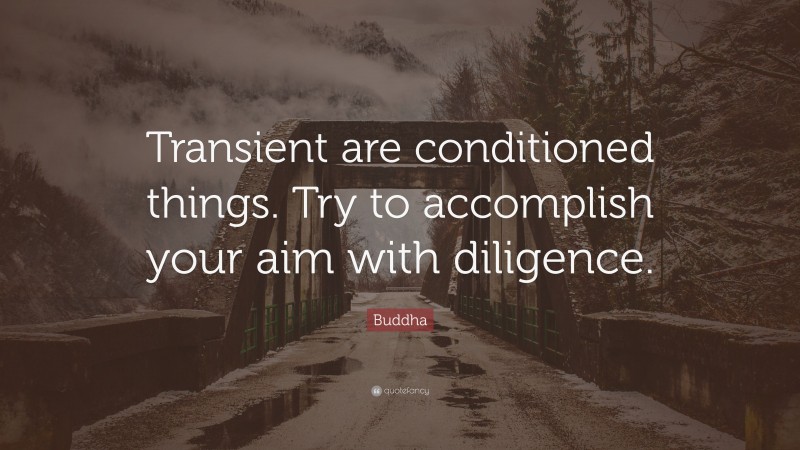 Buddha Quote: “Transient are conditioned things. Try to accomplish your aim with diligence.”