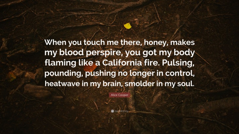 Alice Cooper Quote: “When you touch me there, honey, makes my blood perspire, you got my body flaming like a California fire. Pulsing, pounding, pushing no longer in control, heatwave in my brain, smolder in my soul.”