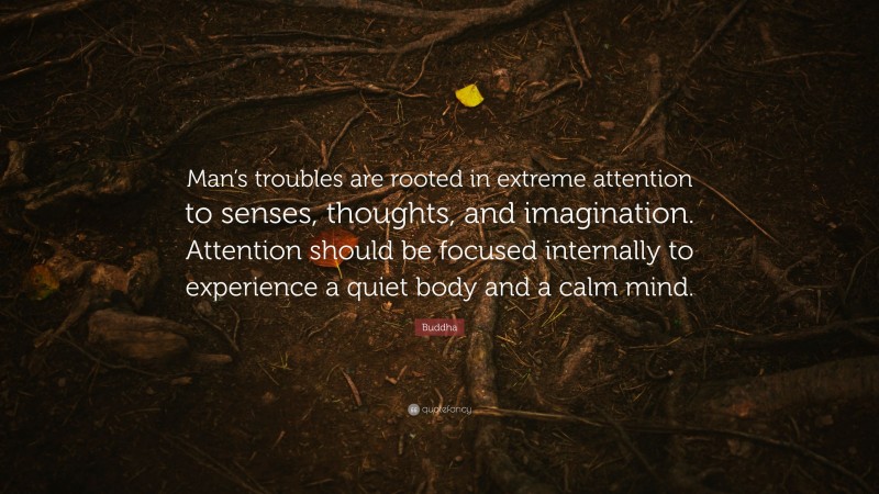 Buddha Quote: “Man’s troubles are rooted in extreme attention to senses, thoughts, and imagination. Attention should be focused internally to experience a quiet body and a calm mind.”
