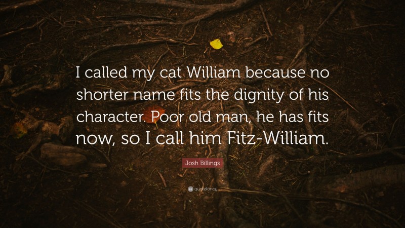 Josh Billings Quote: “I called my cat William because no shorter name fits the dignity of his character. Poor old man, he has fits now, so I call him Fitz-William.”