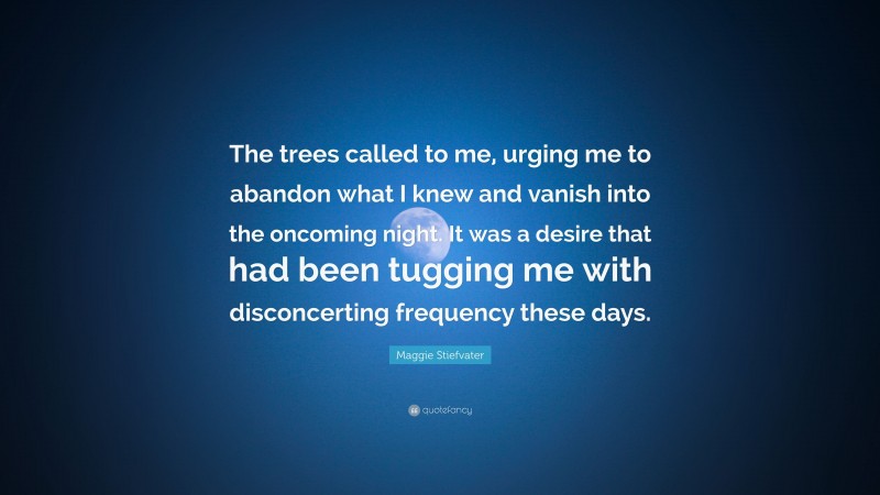 Maggie Stiefvater Quote: “The trees called to me, urging me to abandon what I knew and vanish into the oncoming night. It was a desire that had been tugging me with disconcerting frequency these days.”
