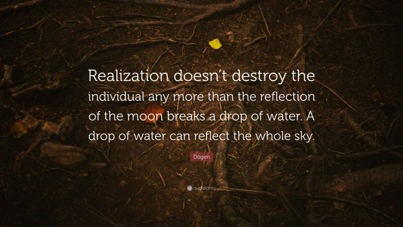 Dōgen Quote: “Realization doesn’t destroy the individual any more than the reflection of the moon breaks a drop of water. A drop of water can reflect the whole sky.”