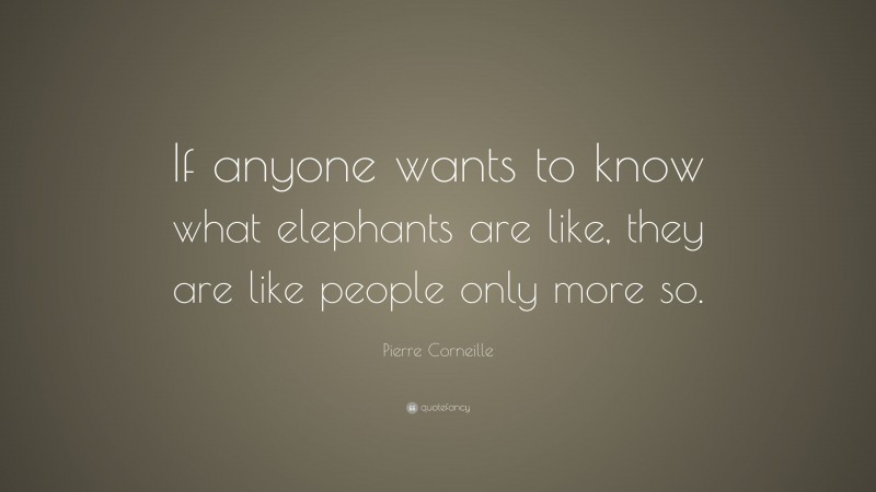 Pierre Corneille Quote: “If anyone wants to know what elephants are like, they are like people only more so.”