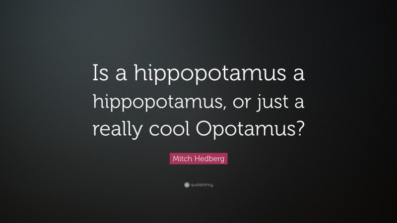 Mitch Hedberg Quote: “Is a hippopotamus a hippopotamus, or just a really cool Opotamus?”
