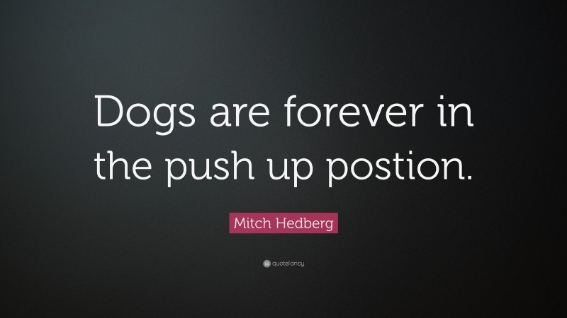 Mitch Hedberg Quote: “Dogs are forever in the push up postion.”
