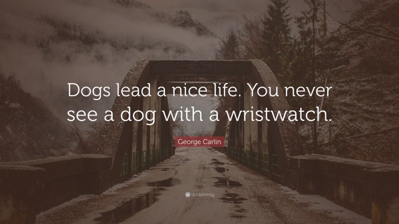 George Carlin Quote: “Dogs lead a nice life. You never see a dog with a wristwatch.”