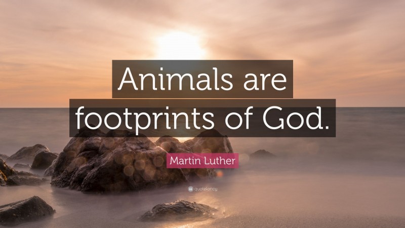 Martin Luther Quote: “Animals are footprints of God.”