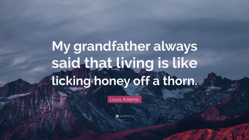 Louis Adamic Quote: “My grandfather always said that living is like ...