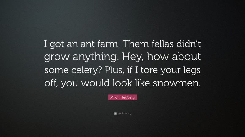 Mitch Hedberg Quote: “I got an ant farm. Them fellas didn’t grow anything. Hey, how about some celery? Plus, if I tore your legs off, you would look like snowmen.”