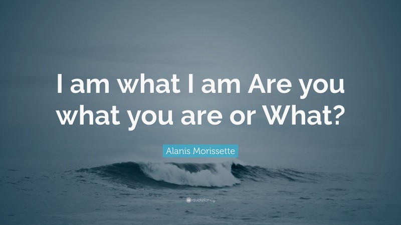 Alanis Morissette Quote: “I am what I am Are you what you are or What?”