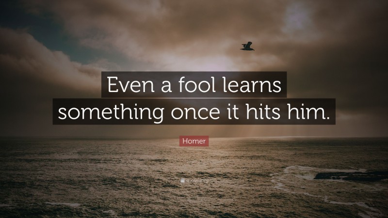 Homer Quote: “Even a fool learns something once it hits him.”