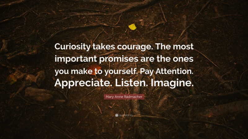 Mary Anne Radmacher Quote: “Curiosity takes courage. The most important promises are the ones you make to yourself. Pay Attention. Appreciate. Listen. Imagine.”