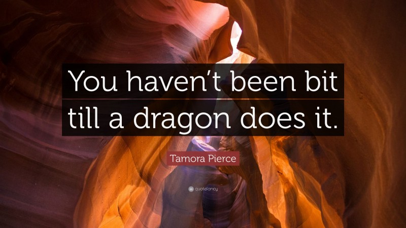 Tamora Pierce Quote: “You haven’t been bit till a dragon does it.”