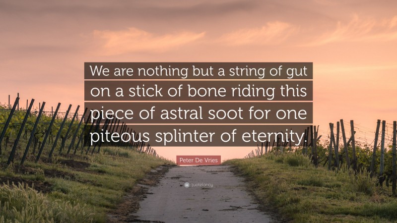 Peter De Vries Quote: “We are nothing but a string of gut on a stick of bone riding this piece of astral soot for one piteous splinter of eternity.”