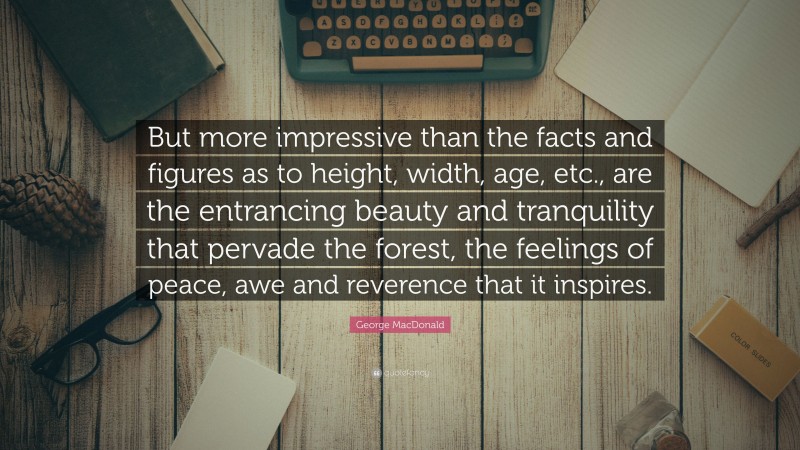 George MacDonald Quote: “But more impressive than the facts and figures as to height, width, age, etc., are the entrancing beauty and tranquility that pervade the forest, the feelings of peace, awe and reverence that it inspires.”