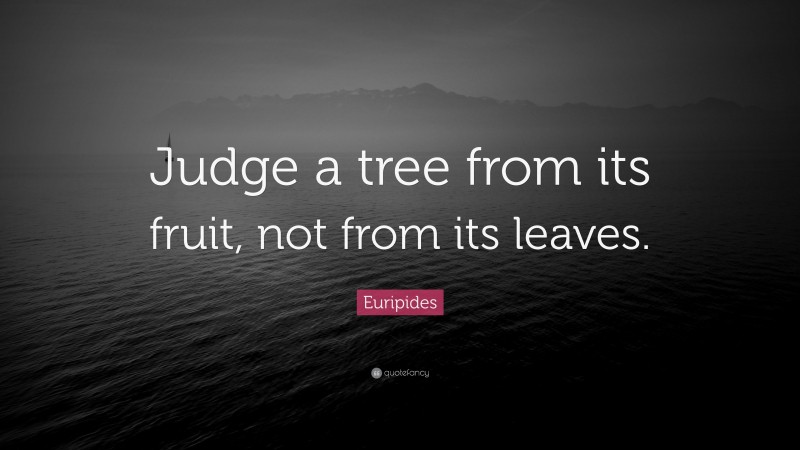 Euripides Quote: “Judge a tree from its fruit, not from its leaves.”