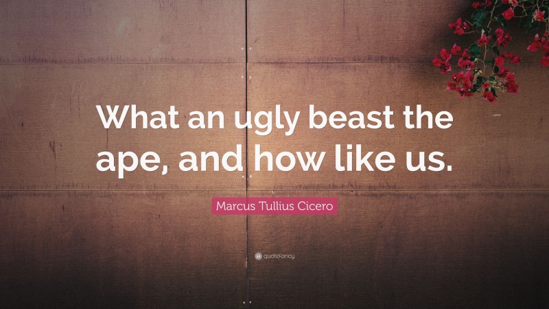 Marcus Tullius Cicero Quote: “What an ugly beast the ape, and how like us.”